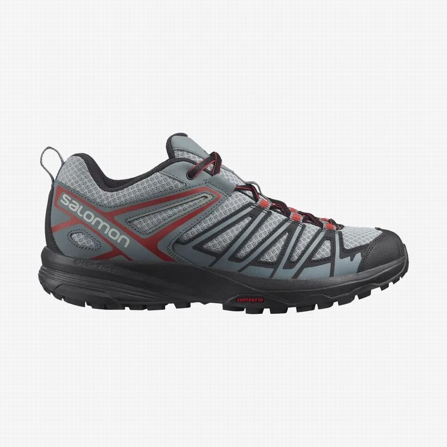 Salomon X Crest Tursko Herre Grå (MWL1290DY)